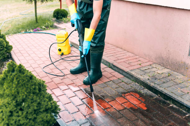 Best Animal Enclosure Cleaning  in Redmond, WA